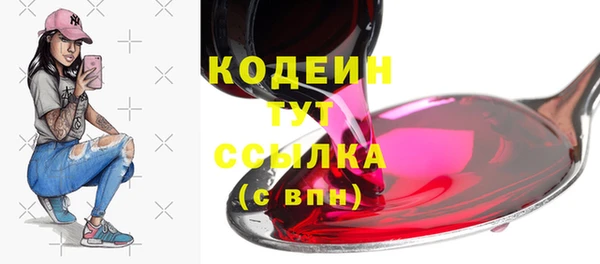 соль ск Верхний Тагил