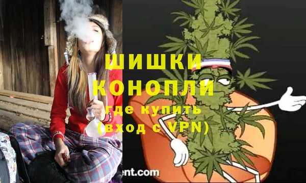 PSILOCYBIN Бронницы