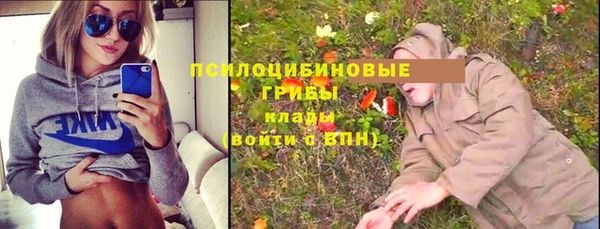 соль ск Верхний Тагил