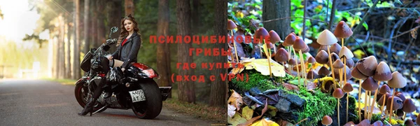 соль ск Верхний Тагил