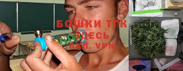соль ск Верхний Тагил