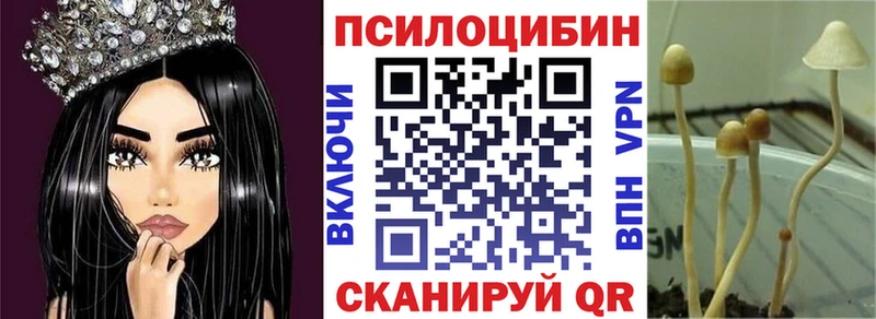 Галлюциногенные грибы Psilocybe  Белгород 